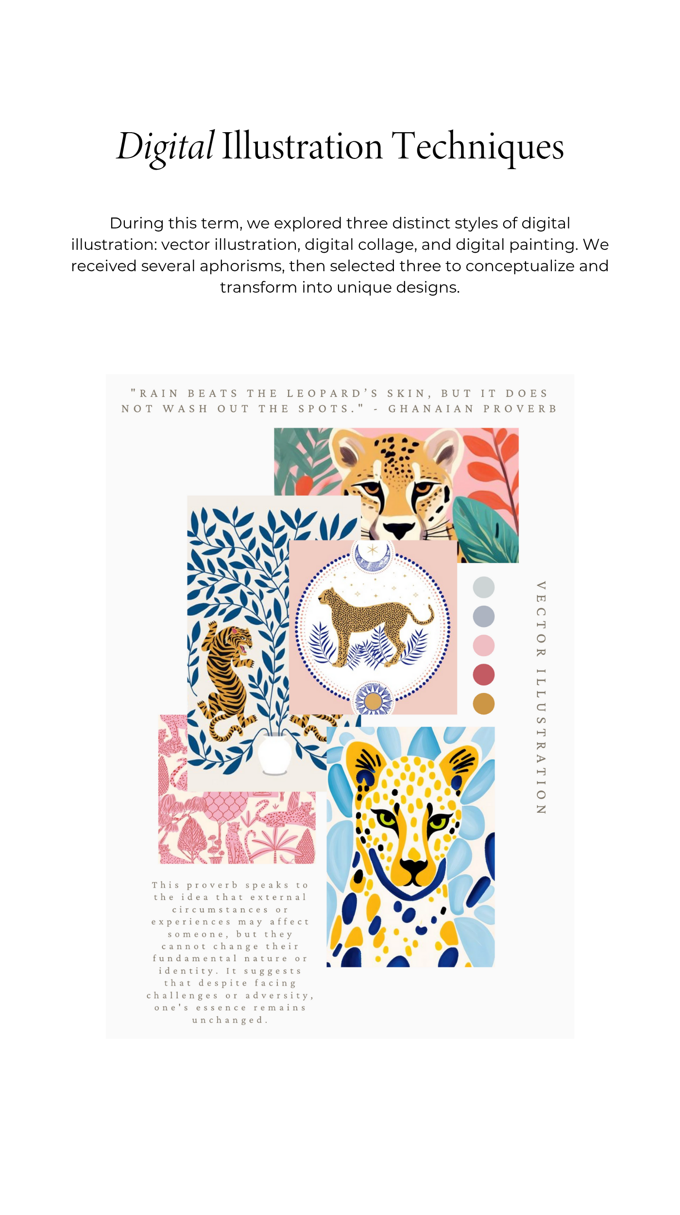 Illustration of shells
