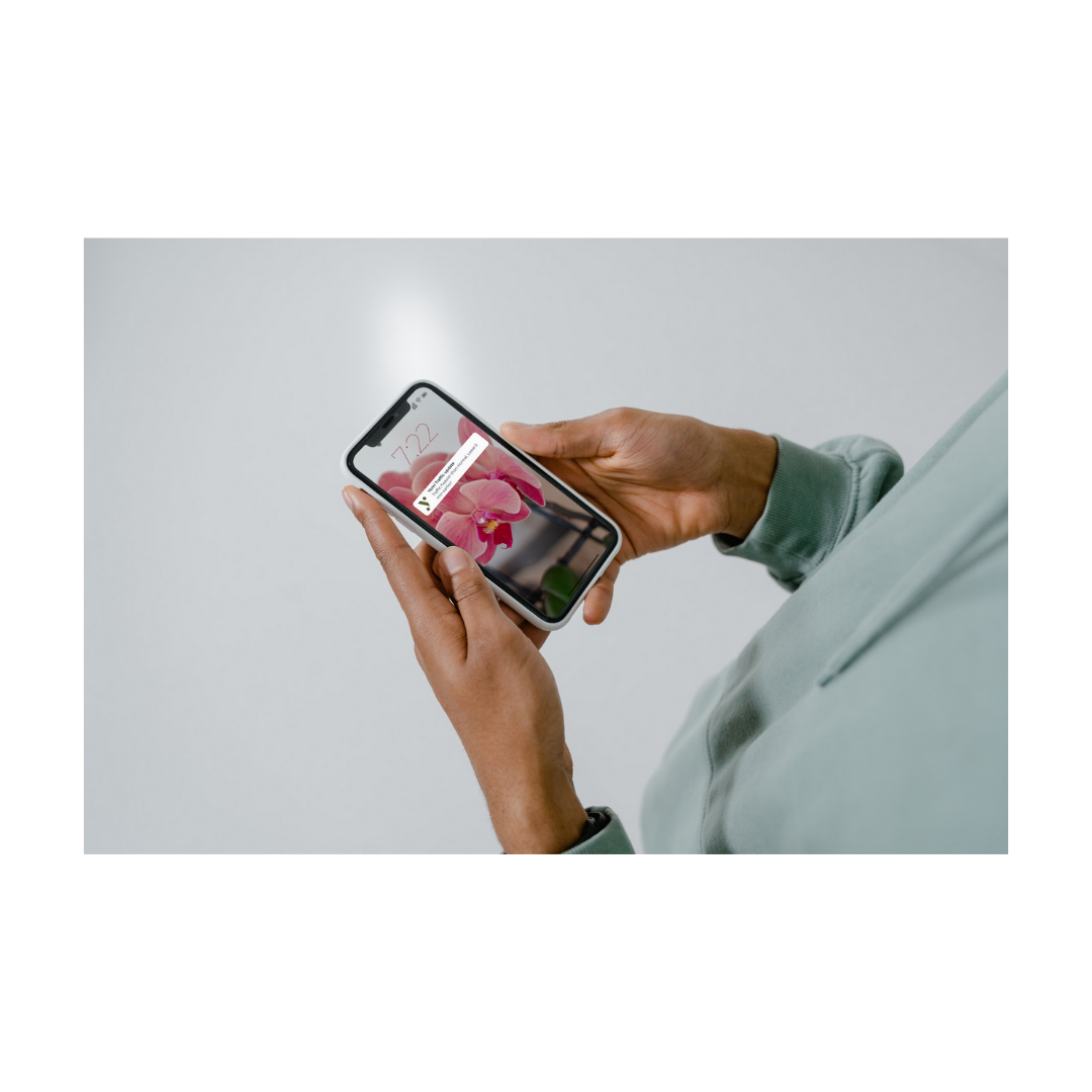 Illustration of seashells