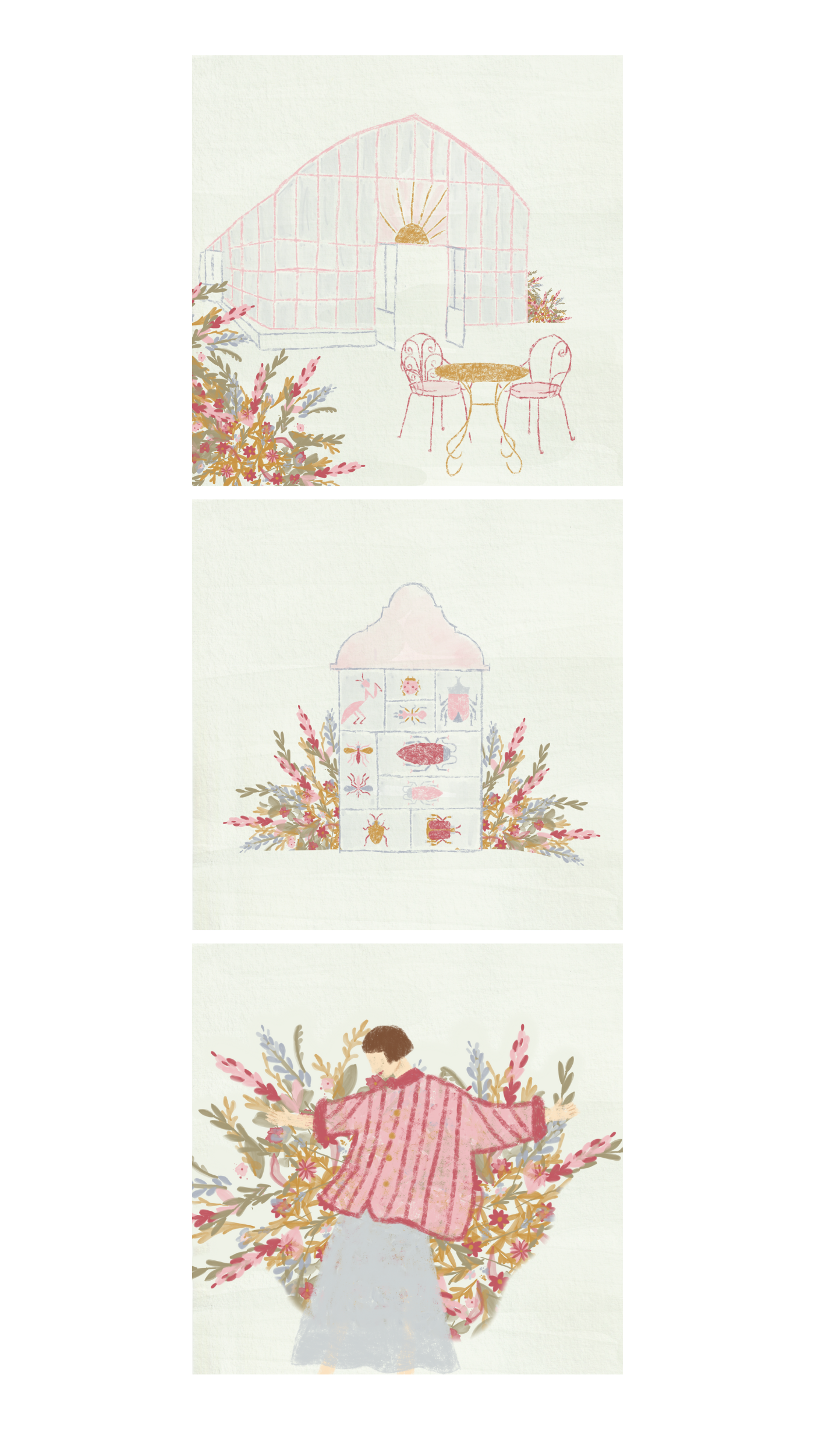 Illustration of shells
