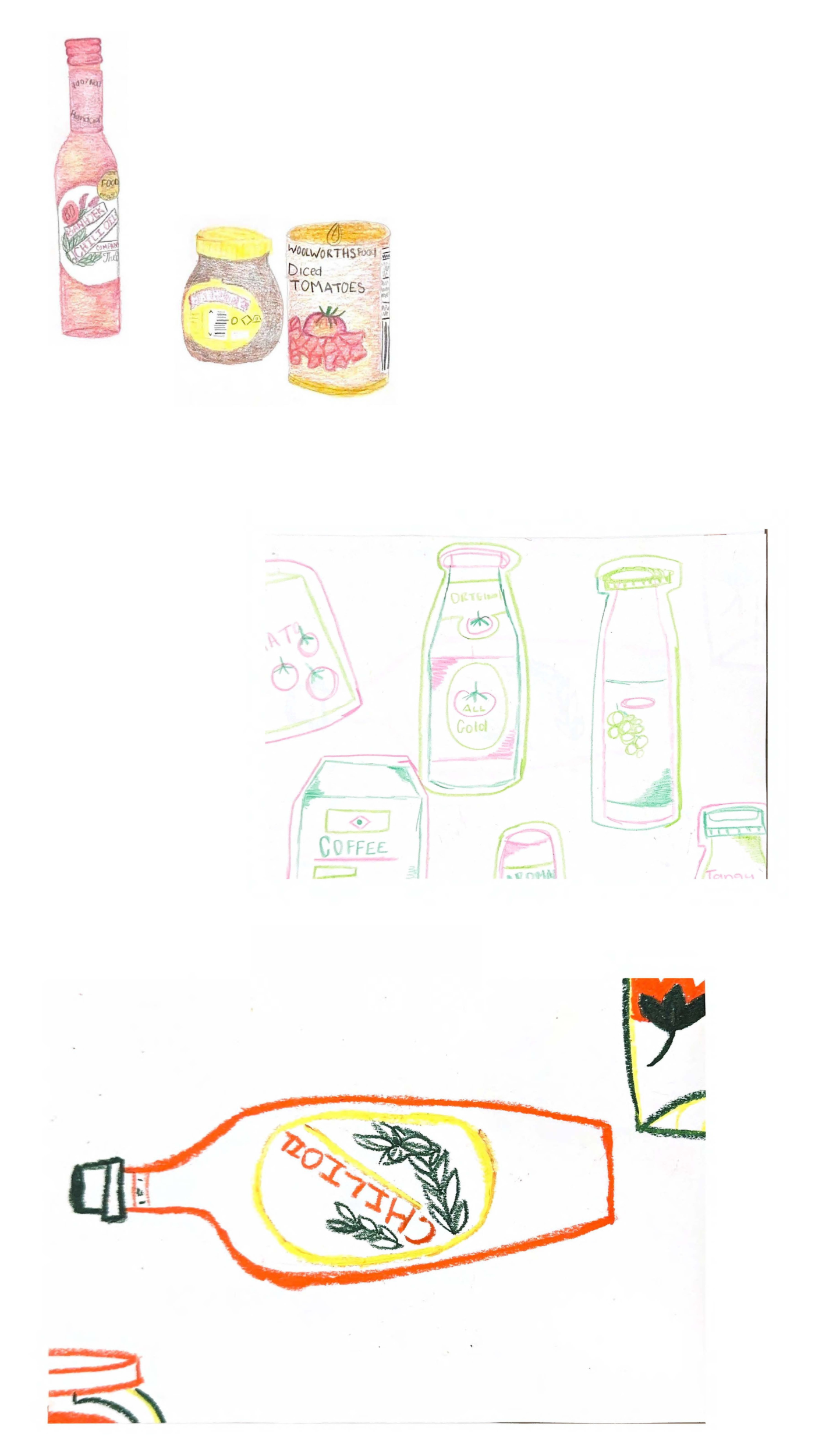 Illustration of shells
