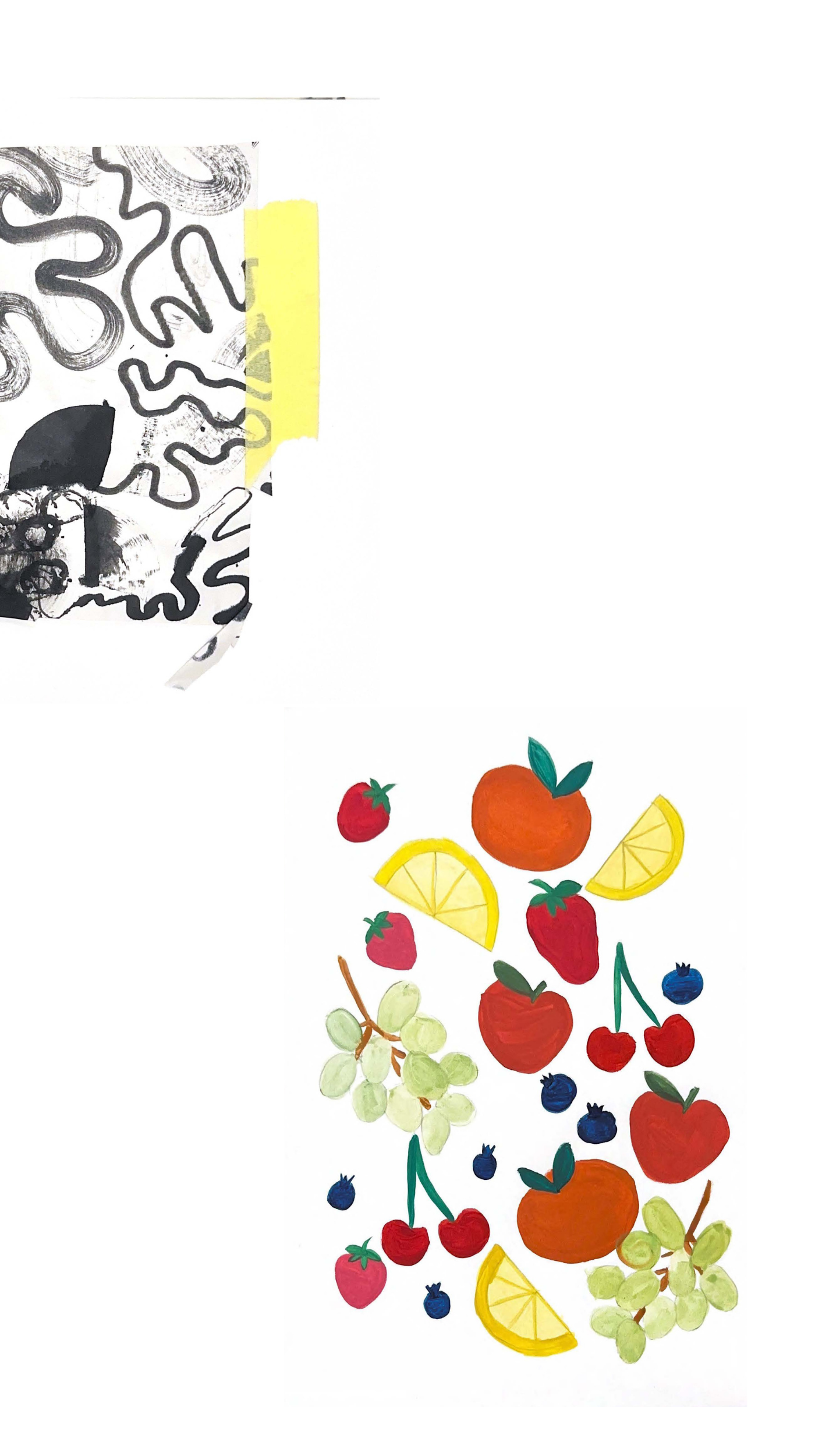 Illustration of shells
