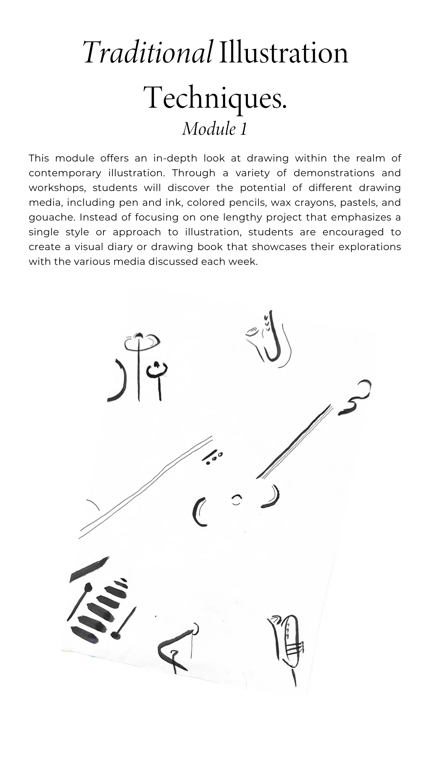 Illustration of shells
