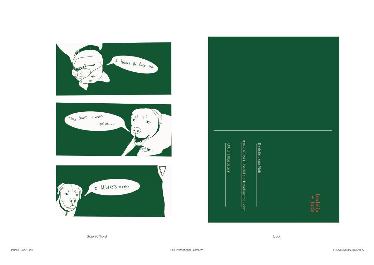 Illustration of shells
